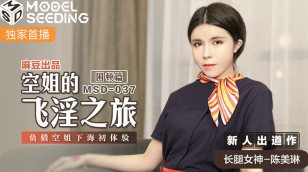 麻豆航空风情:负债空姐陈美琳下海初体验,高空激情飞行之旅